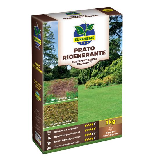 Immagine di SEME PER PRATO RIGENERANTE CONFEZIONE DA 1,0 KG IDEALE PER 30 M² EUROSEME