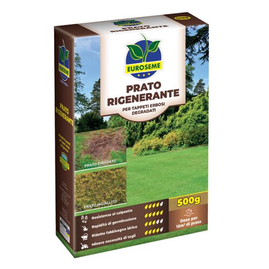 Immagine di SEME PER PRATO RIGENERANTE CONFEZIONE DA 0,5 KG IDEALE PER 15 M² EUROSEME
