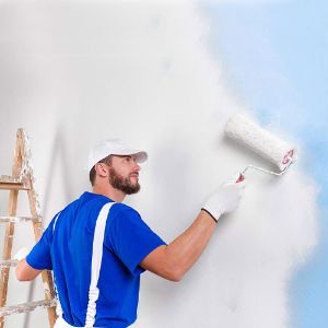 Immagine per la categoria IDROPITTURE MURALI, DECORATIVI E COLORANTI