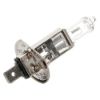 Immagine di LAMPADINA ALOGENA H1 12V 55W ADATTA PER ABBAGLIANTI, ANABBAGLIANTI E FENDINEBBIA ANTERIORI BLISTER DA 1 PZ BOSCH