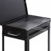 Immagine di BARBECUE A CARONELLA STROMBOLI L 40 P 30 H 78 CM CON COPERCHIO MILLE