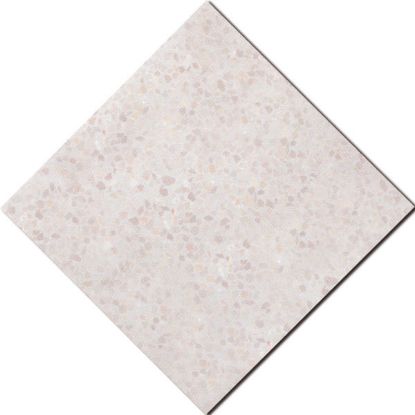 Immagine di BIANCO COMUNE 20X20CM D'ASCENZI A MQ
